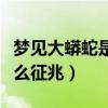 梦见大蟒蛇是什么征兆追我（梦见大蟒蛇是什么征兆）