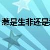 惹是生非还是惹事生非哪个正确（惹是生非）