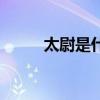 太尉是什么官啊（太尉是什么官）
