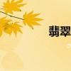 翡翠严品app（翡翠严品）