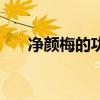净颜梅的功效和作用（净颜梅的功效）