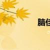 脑佳佳助记忆（脑佳佳）