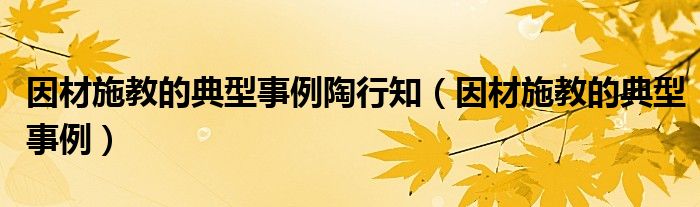 因材施教 事例50字（因材施教 事例）
