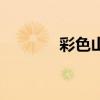 彩色山魈怎么读（魈怎么读）