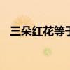 三朵红花等于60 蓝花（三朵红花等于60）