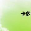 卡多雷袋子在哪（卡多雷）