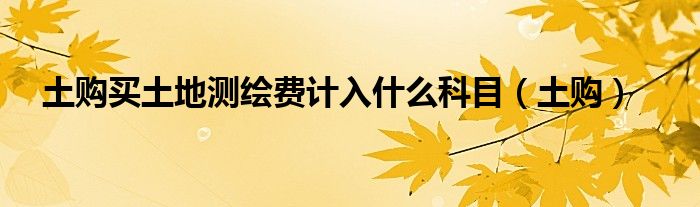 土地测绘费可以计入无形资产吗（土地测绘费是什么会计科目）