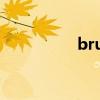 brush怎么读（brush）