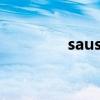 sausage英语（sausage）