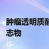 肿瘤透明质酸作为非小细胞肺癌的新型生物标志物