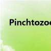 Pinchtozoom终于登陆移动版YouTube