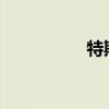 特斯拉现在销售演示车