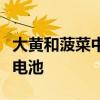 大黄和菠菜中的化合物如何帮助回收电动汽车电池