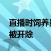 直播时饲养员用膝盖暴击猩猩脸部 饲养员已被开除