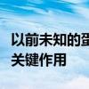 以前未知的蛋白质在先天性心脏畸形中发挥着关键作用