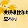 发现雄性和雌性小鼠的脑细胞对慢性压力的反应不同