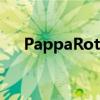 PappaRoti将在芝加哥市中心开设分店