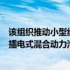 该组织推动小型纯电动汽车实际上可能提倡混合动力汽车和插电式混合动力汽车