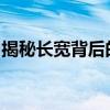 揭秘长宽背后的秘密：尺寸与空间的无限可能