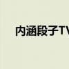 内涵段子TV：探索笑料背后的秘密世界