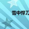 雪中悍刀行电视剧演员阵容大揭秘
