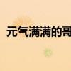 元气满满的哥哥：逆境中的坚持与胜利之路