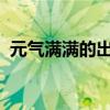 元气满满的出租车司机：城市中的活力源泉