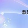 苹果11的关机方法详解