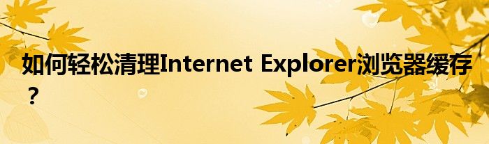 internet explorer浏览器怎么清除缓存（internet浏览器怎么清理缓存）