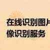 在线识别图片文字工具太平洋：快速准确的图像识别服务