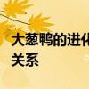 大葱鸭的进化之旅：探索大葱与鸭的神奇共生关系