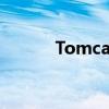 Tomcat环境变量的配置与管理
