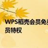 WPS稻壳会员免费账号全攻略：轻松获取尊贵体验，畅享会员特权