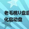 老毛桃U盘启动盘制作教程：一步步打造个性化启动盘
