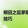 明日之后茅斯沼泽攻略大全：生存指南与探险技巧