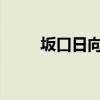 坂口日向：闪耀之星的历史与现状