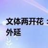 文体两开花：全面解析这一网络热词的内涵与外延