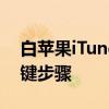 白苹果iTunes恢复指南：解决设备问题的关键步骤