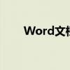 Word文档中如何打出带声调的拼音