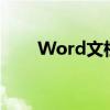 Word文档制作表格的详细步骤指南