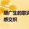 胡广生的歌词解析：故事背后的深层含义与情感交织