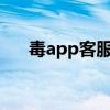 毒app客服团队：专业解答，贴心服务