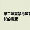 第二课堂禁毒教育平台：筑牢青少年禁毒防线，引领健康成长的摇篮