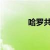 哈罗共享单车押金退还全攻略