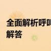 全面解析呼叫转移设置：操作指南与常见问题解答