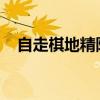自走棋地精阵容全面解析与搭配策略指南