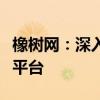 橡树网：深入了解森林生态与珍稀木材资源的平台