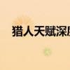 猎人天赋深度解析：技能加点与玩法攻略