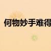 何物妙手难得——探索珍贵技艺与传承之道