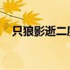 只狼影逝二度：挑战高端配置的游戏体验